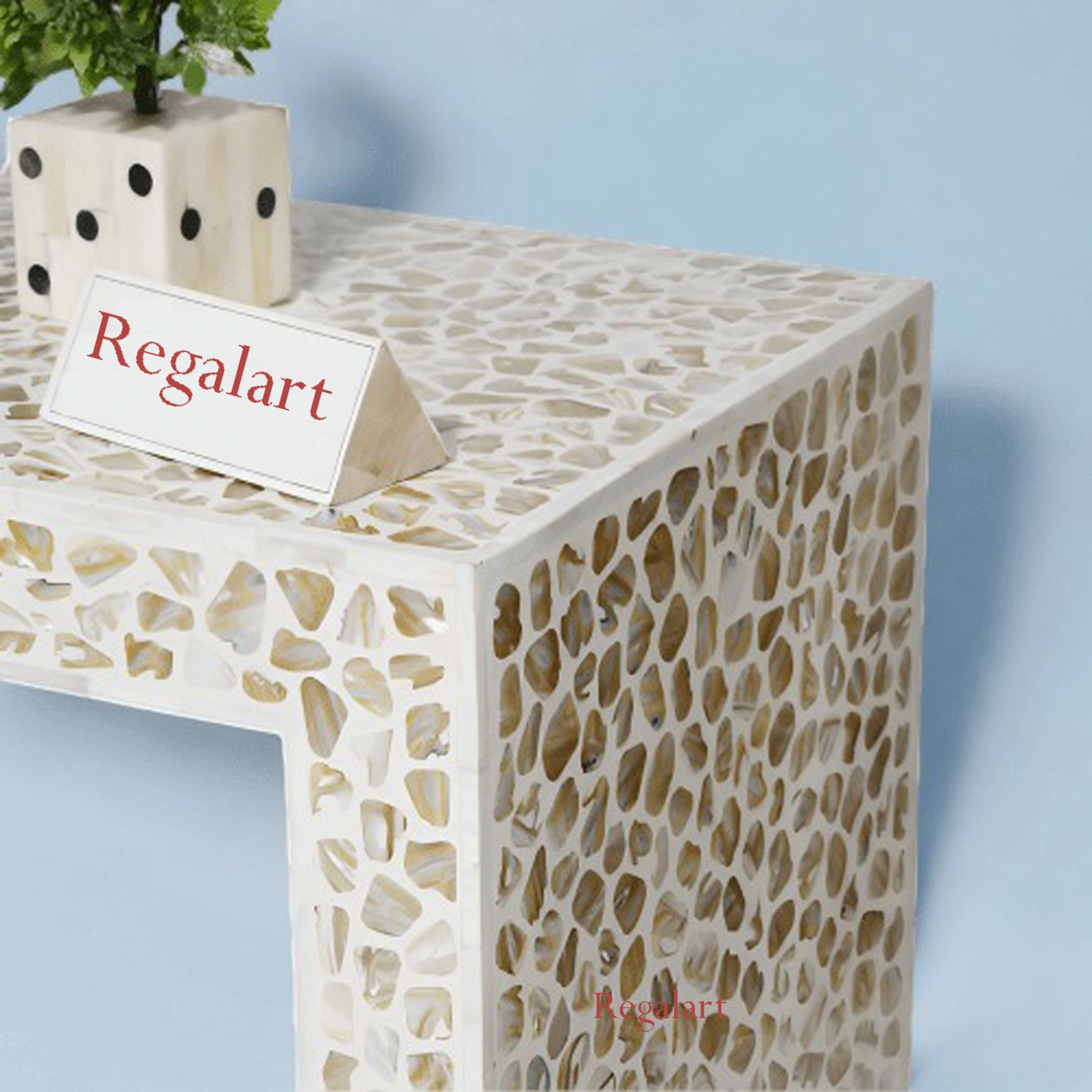 Mother of Pearl Console Table | Handmade Study Desk Decor