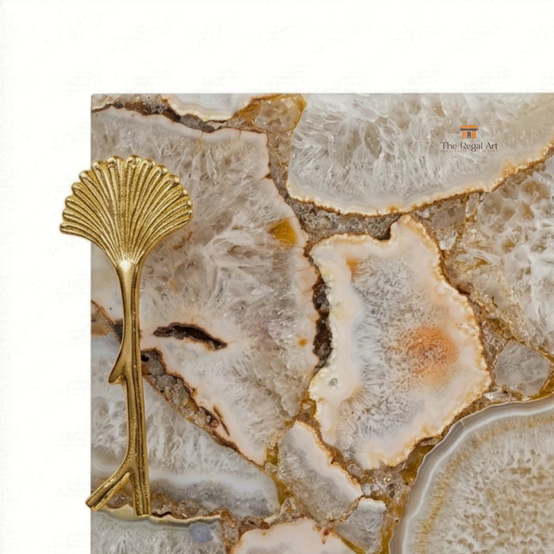 The Collection image 2