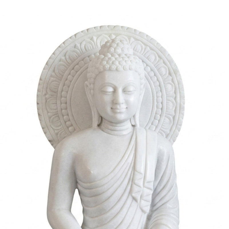 The Collection image 1